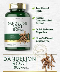 Carlyle Dandelion Root (1,800 mg) - 300 capsules