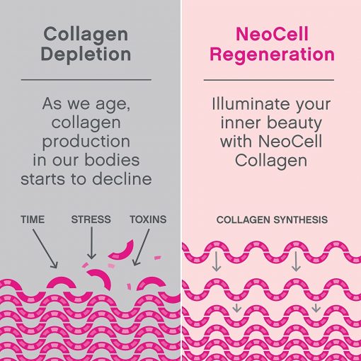 Neocell Super Collagen Unflavored Powder - 400 gram