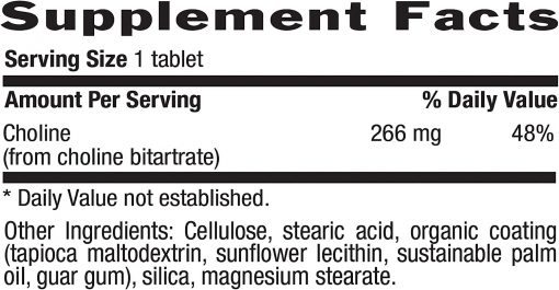 Country Life Choline - 100 tablets