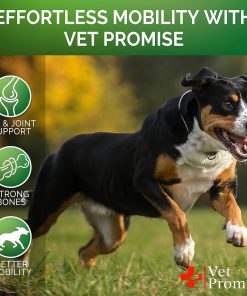 Vet Promise Glucosamine Hip & Joint + Chondroitin - 120 soft chews