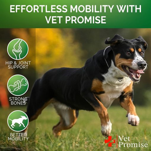 Vet Promise Glucosamine Hip & Joint + Chondroitin - 120 soft chews
