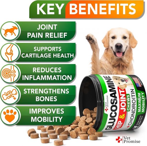 Vet Promise Glucosamine Hip & Joint + Chondroitin - 120 soft chews