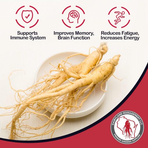 Dairyland American Ginseng Powder - 113 gram