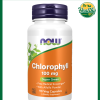 NOW Chlorophyll (100 mg) - 90 Veg Capsules