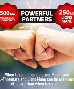 Dedicad Magnesium L-Threonate Lions Mane Ashwagandha - 60 capsules