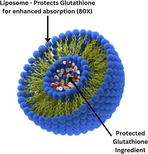 Research Labs Liposomal Glutathione - 60 softgels