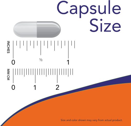 Now L-Glutamine (500 mg) - 120 veg capsules