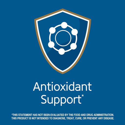 21st Century Antioxidant - 75 tablets