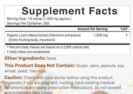 Deal Lion's Mane Mushroom Powder - 454 gram