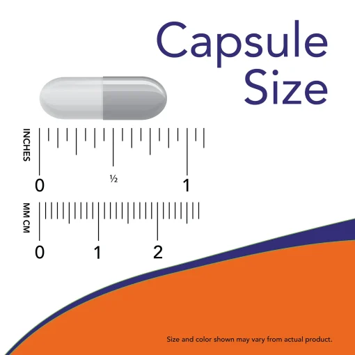 Now NAC (600 mg) - 100 veg capsules