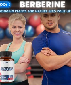 Agobi Berberine (12,800 mg) - 60 vegan capsules