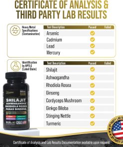 Zoyava Shilajit Ashwagandha Panax Ginseng (15,250 mg) - 60 veggie capsules