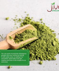 Jiva Organics Wheat Grass Powder - 340 gram