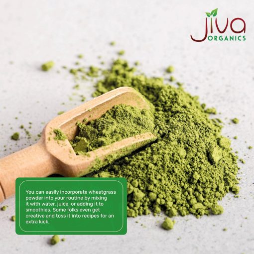 Jiva Organics Wheat Grass Powder - 340 gram