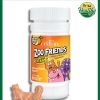 21st Century Children's Multivitamin Immune Health Support - 60 chewable tablets