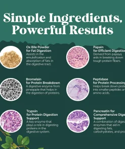 Nature's Craft Ox Bile Complex - 90 capsules