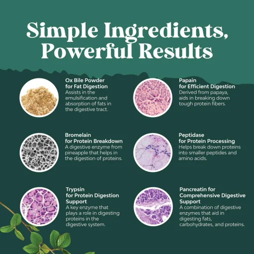 Nature's Craft Ox Bile Complex - 90 capsules