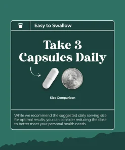 Nature's Craft Ox Bile Complex - 90 capsules
