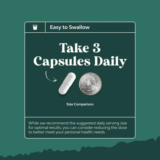 Nature's Craft Ox Bile Complex - 90 capsules
