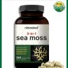 Naturebell Sea Moss (3,000 mg) - 240 vegetarian capsules