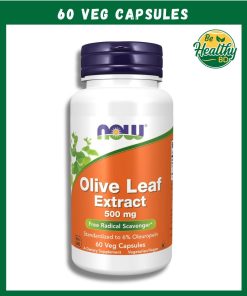 Now Olive Leaf Extract (500 mg) - 60 veg capsules