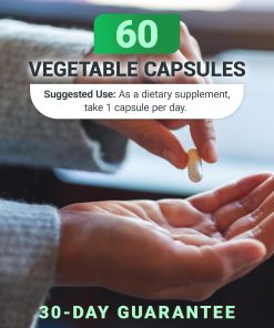 Dr.Berg Natural Vitamin B1+ with B Complex Blend - 60 capsules