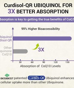 Besibest Liposomal Vegan CoQ10 UbiQunol (800 mg) - 60 softgels
