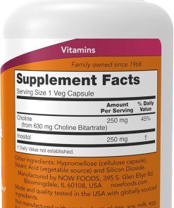 Now Choline & Inositol - 100 veg capsules