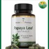 Florida Herbal Pharmacy Papaya Leaf Extract - 120 vegan capsules