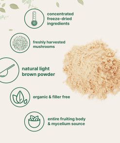 Micro Ingredients Organic Lion's Mane Powder - 227 gram