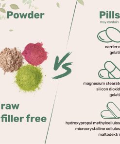 Micro Ingredients Organic Lion's Mane Powder - 227 gram