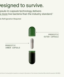 Seed Gut + Whole Bady Health DS-01 Daily Synbiotic 53.6 Billion AFU - 60 capsules