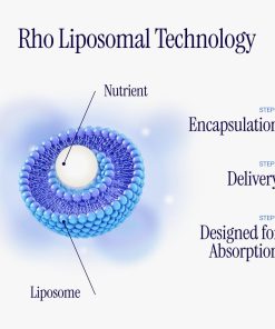 rho Nutrition Liposomal NAD+ - 120 ml