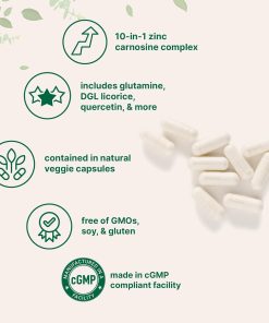 Micro Ingredients Zinc Carnosine (75 mg) - 240 vegetarian capsules