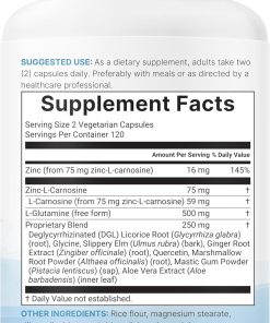 Micro Ingredients Zinc Carnosine (75 mg) - 240 vegetarian capsules