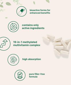 Micro Ingredients Pure Methylated Multivitamin - 240 capsules
