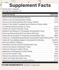 Micro Ingredients Pure Methylated Multivitamin - 240 capsules