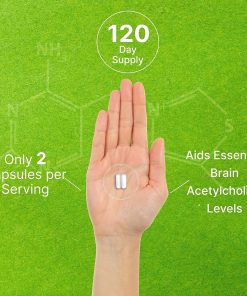 Deal Alpha GPC (600 mg) - 240 capsules