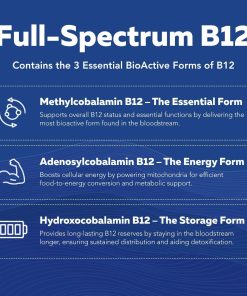 Triquetra Bio Active B-Complex Max Strength - 60 capsules