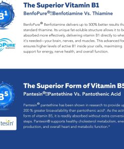 Triquetra Bio Active B-Complex Max Strength - 60 capsules