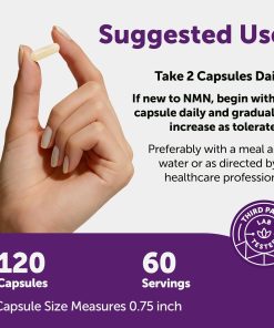 Micro Ingredients NMN Ultimate 10-in-1 (1,000 mg) - 120 vegetarian capsules