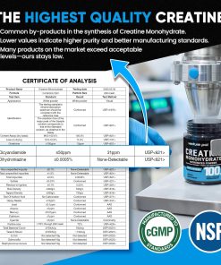 Venture Pal Creatine Monohydrate Micronized Powder - 300 gram