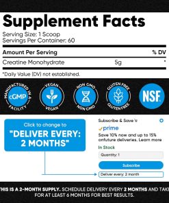 Venture Pal Creatine Monohydrate Micronized Powder - 300 gram