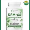 Micro Ingredients KSM-66 Ashwagandha (1,000 mg) - 120 vegetarian capsules