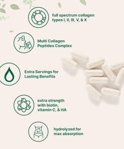 Micro Ingredients Multi Collagen Peptides Complex - 240 capsules
