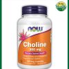 Now Choline (300 mg) - 100 veg capsules