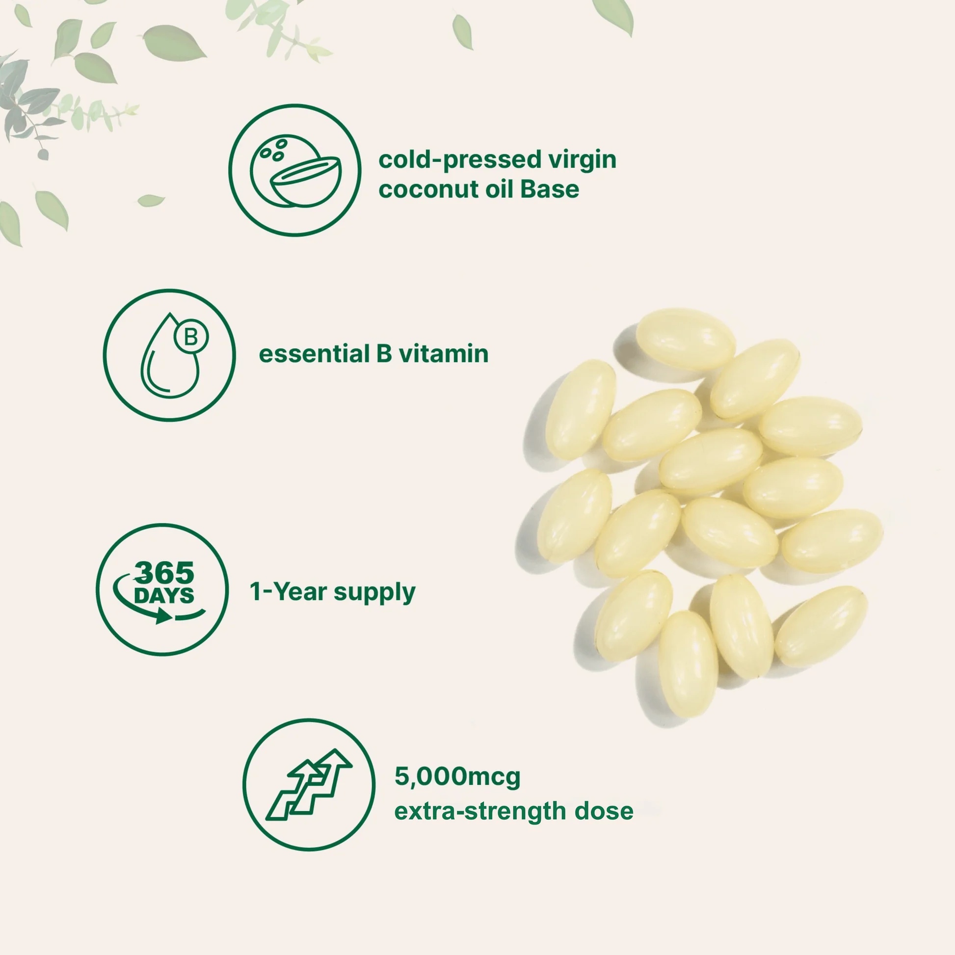Micro Ingredients Biotin (5000 mcg) with Coconut Oil - 365 softgels