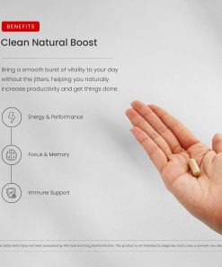 Nutra Champs Korean Panax Ginseng (12,000 mg) - 120 vegan capsules