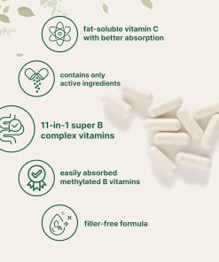 Micro Ingredients Pure Methylated B-Complex With Vitamin C - 240 capsules