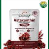 Coycoz Astaxanthin (12 mg) High Absorption with MCT Oil - 90 softgels